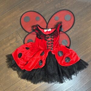 Girls' Red and Black Ladybug Costume with Wings by